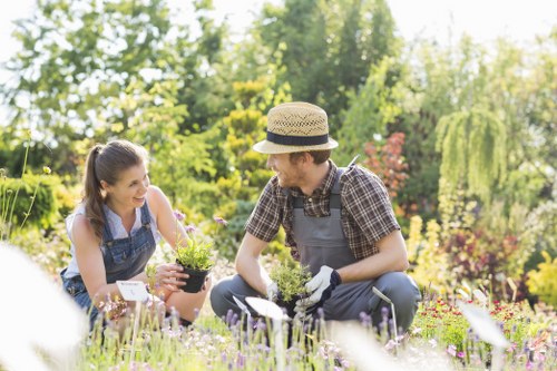 A man and woman are tending to a well-maintained garden in a residential outdoor space on a bright, sunny day. The man, wearing a checked shirt, gardening apron, gloves, and a straw hat, is kneeling on the grass while using a small hand shovel to work in a flower bed. The woman, in a sleeveless top and denim apron, is kneeling beside him and holding a black plastic pot with flowering plants, smiling at the man. In the foreground, there is a lush lawn with densely growing grass, and behind them, a mixture of shrubs, small trees, and flowering plants in various shades of green, purple, and pink. The garden features a clear boundary with low hedges and a variety of plants, creating a vibrant and peaceful outdoor scene. The environment appears tidy and well-maintained, reflecting professional gardening services, with natural sunlight illuminating the scene and shadows cast by the foliage. This image promotes outdoor garden care and landscaping in Tottenham and showcases the benefits of professional hedge trimming and gardening expertise, such as those offered by Hedge Trimming Tottenham.